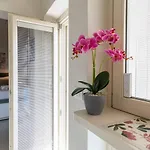 Appartamento Terra - A Casa Di Lu *