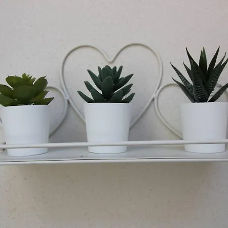 Terra Maggiore, D'orta Appartamento Colazza