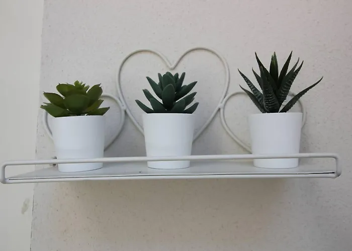 Terra Maggiore, D'orta Apartamento Colazza