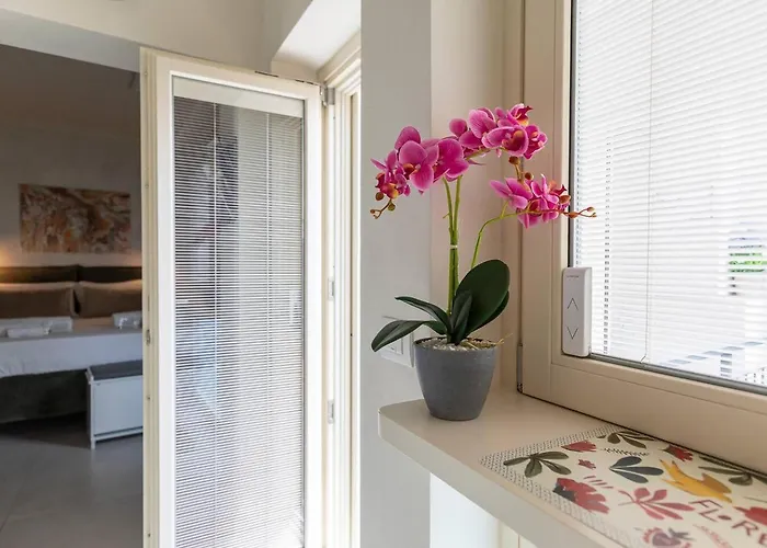 Terra Maggiore, D'orta *